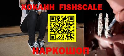 крисы Шелехов