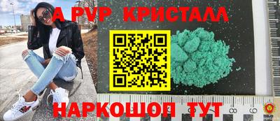 крисы Шелехов