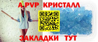 крисы Шелехов