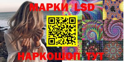 крисы Шелехов