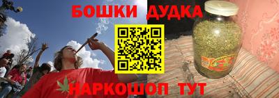 крисы Шелехов