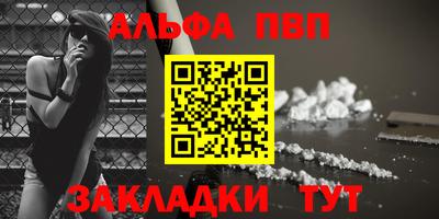 крисы Шелехов