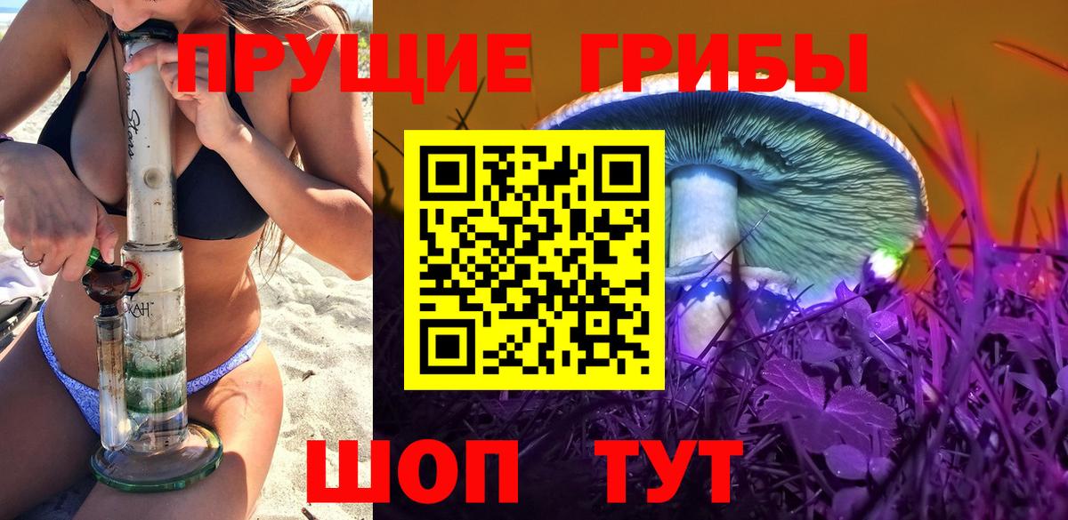 Псилоцибиновые грибы Psilocybe  где можно купить наркотик  Минусинск  Вход с VPN 